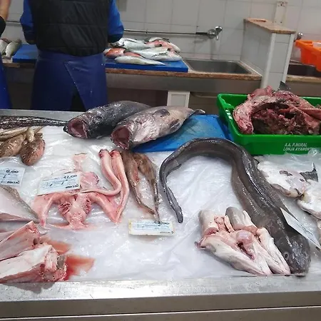 Front Luxury T1 Pools Garage Tennis Albufeira