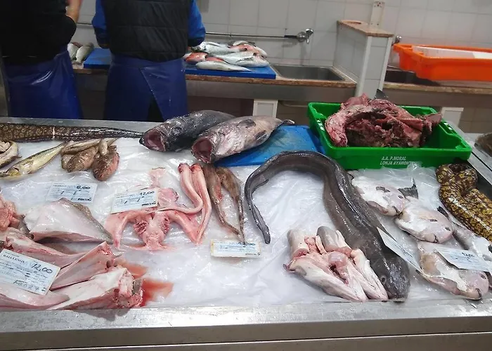 Front Luxury T1 Pools Garage Tennis Albufeira