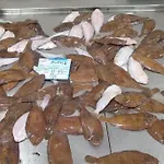 Front Luxury T1 Pools Garage Tennis *